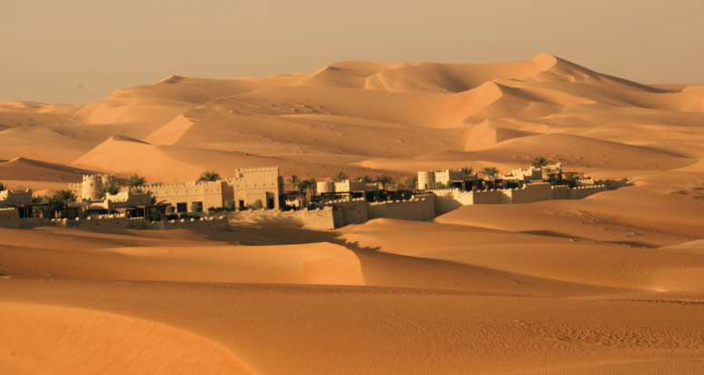 Top Landscaping Companies in Abu Dhabi: The Soil Revolution
