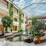 شركة تصميم مناظر طبيعية في أبوظبي: العائد على الاستثمار للتصميم المحب للطبيعة (البيوفيليك) في مساحات التجزئة والضيافة في الإمارات